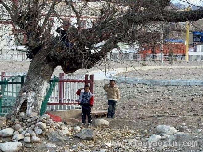 雪域高原上的英烈守护：民族团结与敬意的传承