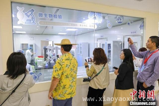 侨商目光聚焦春光椰子王国，助力海南椰子产业升级，“侨”聚春光椰子王国，共赏海南椰文化魅力