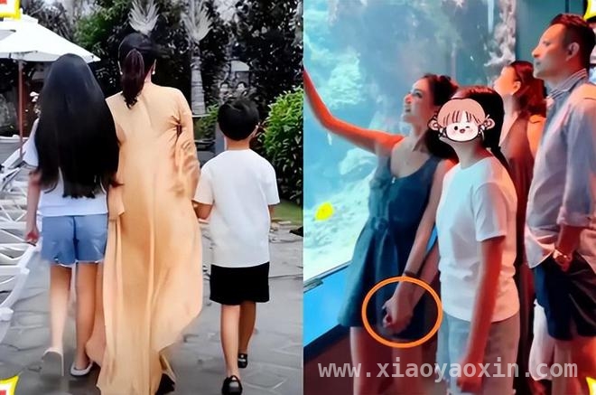 大S走后，S家动作频频，是为遗产还是另有隐情？