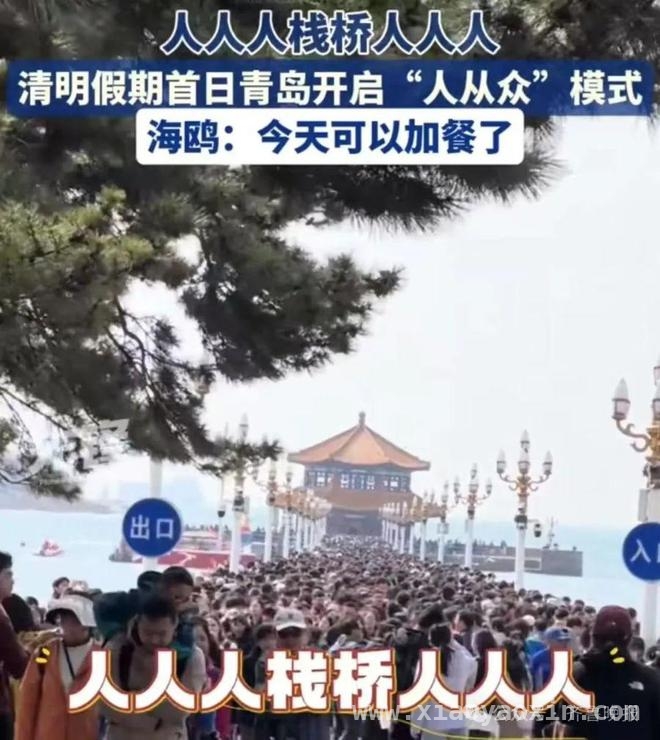 清明出游大爆发，多地景区约满限流，“清明堵人”！多个景区实况曝光
