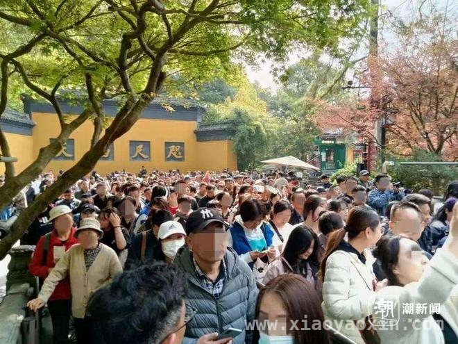 清明出游大爆发，多地景区约满限流，“清明堵人”！多个景区实况曝光