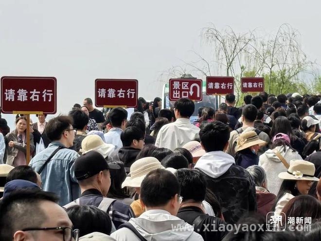清明出游大爆发，多地景区约满限流，“清明堵人”！多个景区实况曝光
