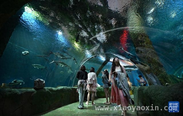 清明游海南，海洋欢乐与文化魅力共赏！，清明假期海南景区人潮涌动，欢乐氛围拉满！