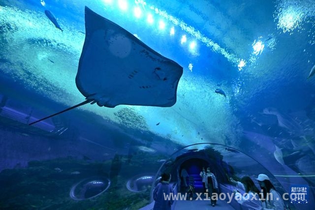 清明游海南，海洋欢乐与文化魅力共赏！，清明假期海南景区人潮涌动，欢乐氛围拉满！