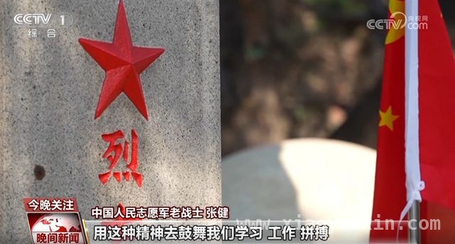 缅怀先烈志，赓续红色魂——清明祭英烈活动全记录，清明时节忆英烈，凝聚民族复兴磅礴力量