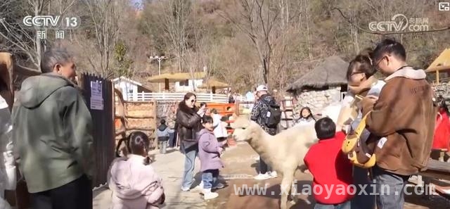 清明赏花游火热，文旅消费掀高潮，清明赏花热，激活多地旅游经济