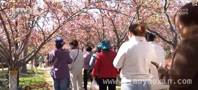 清明赏花游火热，文旅消费掀高潮，清明赏花热，激活多地旅游经济