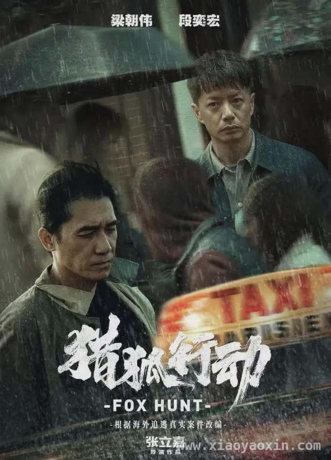 2025清明档电影遇冷，市场矛盾凸显！