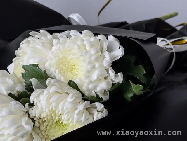 84年守护，梁家六代人与无名英烈的深情守望，无名烈士的84年守护：梁家六代人的赤诚坚守