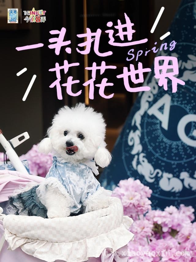 4月必去！虹口滨港商业中心今潮8弄的奇妙“花花世界”