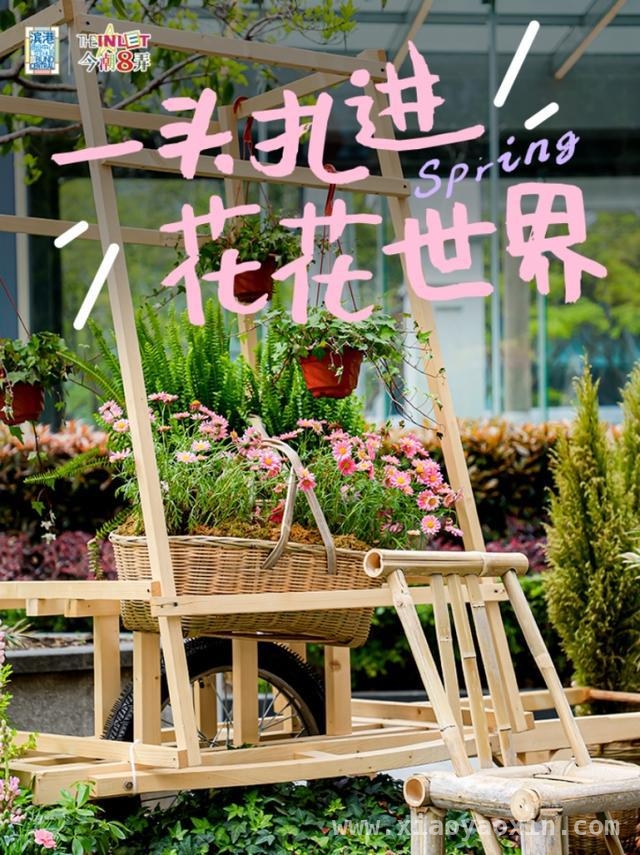4月必去！虹口滨港商业中心今潮8弄的奇妙“花花世界”