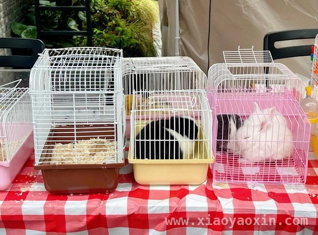 4月必去！虹口滨港商业中心今潮8弄的奇妙“花花世界”