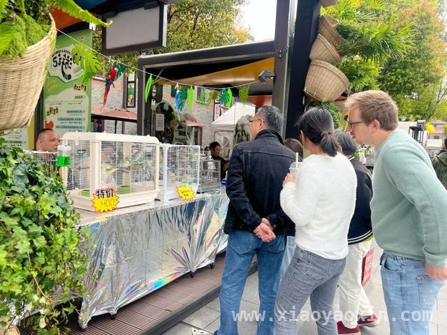 4月必去！虹口滨港商业中心今潮8弄的奇妙“花花世界”