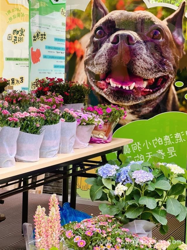 4月必去！虹口滨港商业中心今潮8弄的奇妙“花花世界”